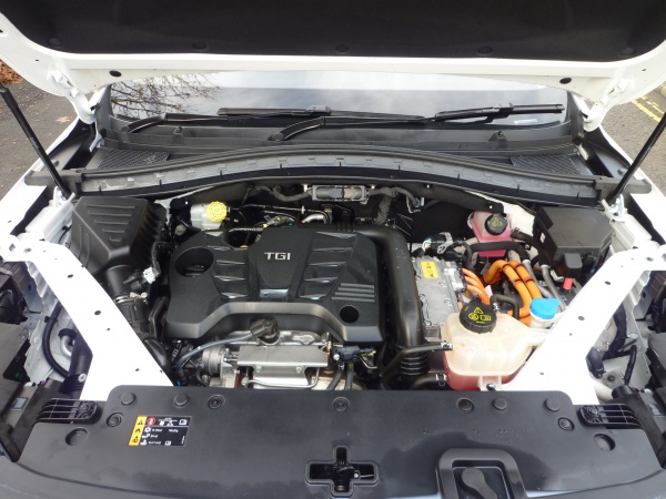 Trophy 1.5 T-GDi 16.6 kWh