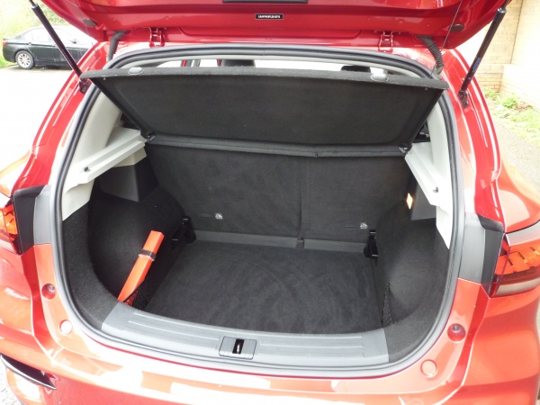 Exclusive 1.0 T-GDi auto