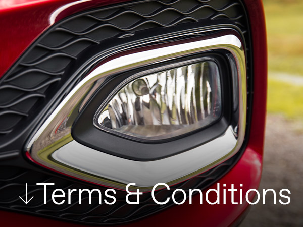 Terms and Conditions