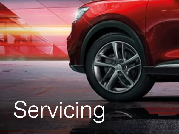 Servicing Schedules Digital Records