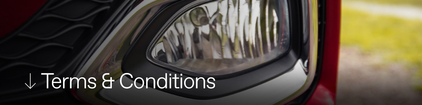 Terms and Conditions