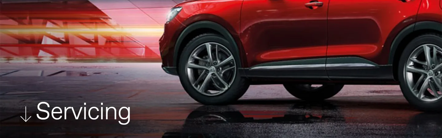 Servicing Schedules Digital Records